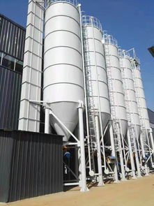 德興瓷磚膠廠家供應(yīng)——佛山市托肯建材有限責(zé)任公司，專注家具家居高品質(zhì)建材